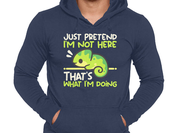 Chameleon Not Here
