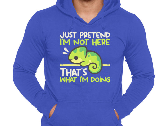 Chameleon Not Here