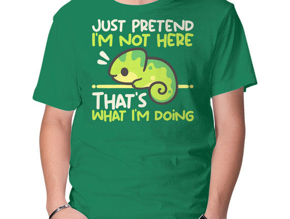 Chameleon Not Here