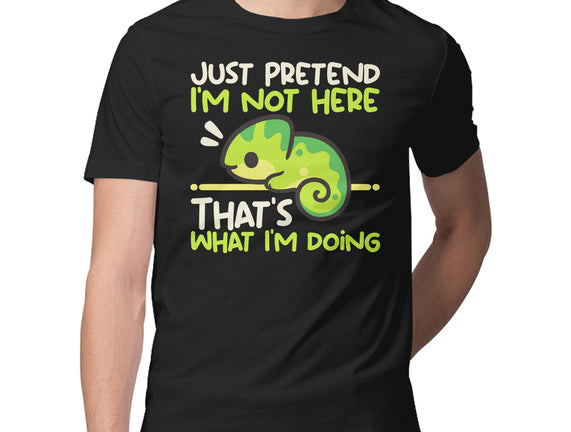 Chameleon Not Here
