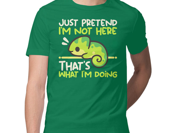 Chameleon Not Here