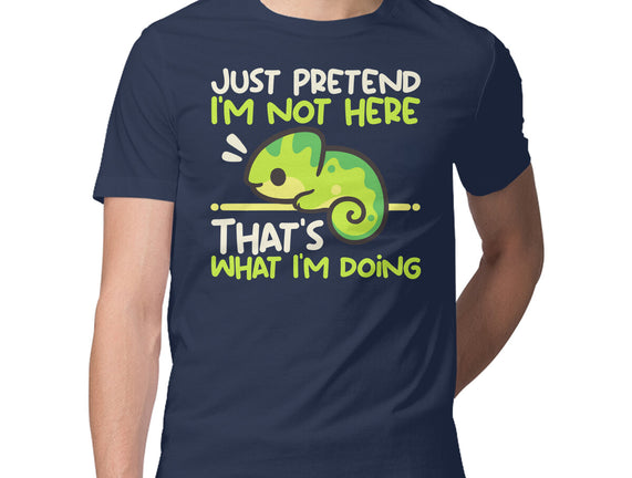 Chameleon Not Here