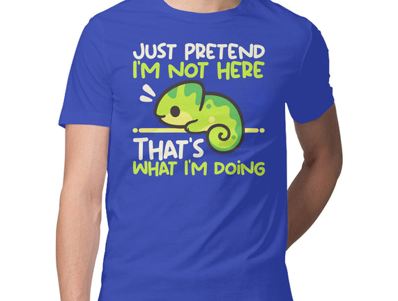 Chameleon Not Here