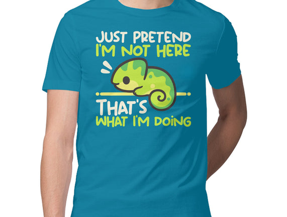 Chameleon Not Here