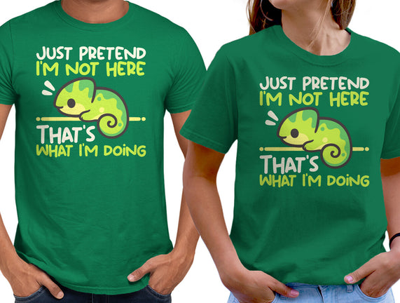 Chameleon Not Here