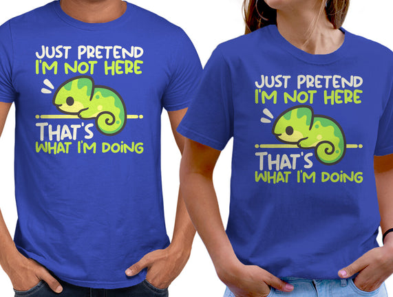 Chameleon Not Here