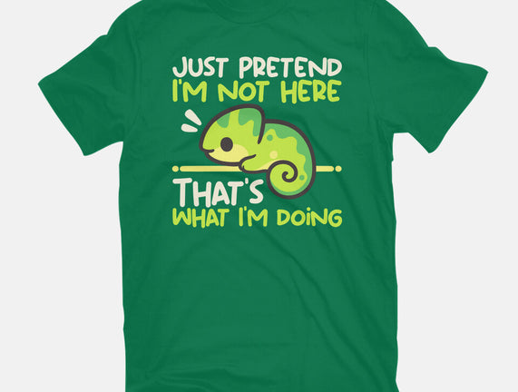 Chameleon Not Here