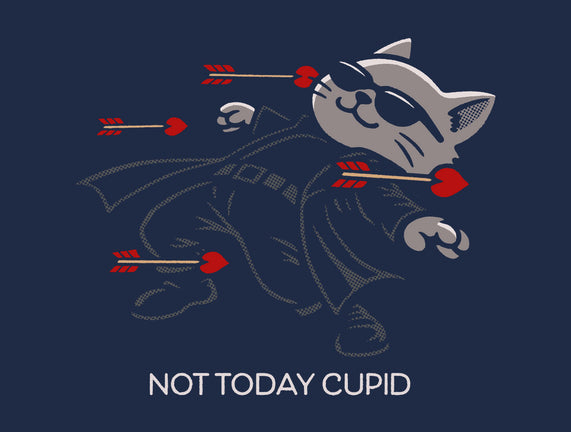 Not Today Cupid