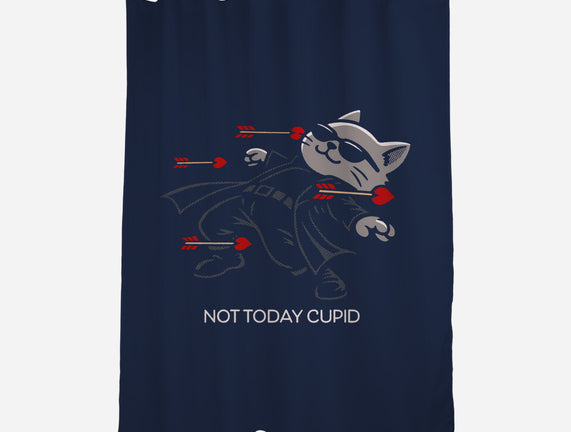 Not Today Cupid