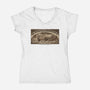 Flux Capacitator Co-Womens-V-Neck-Tee-JCMaziu