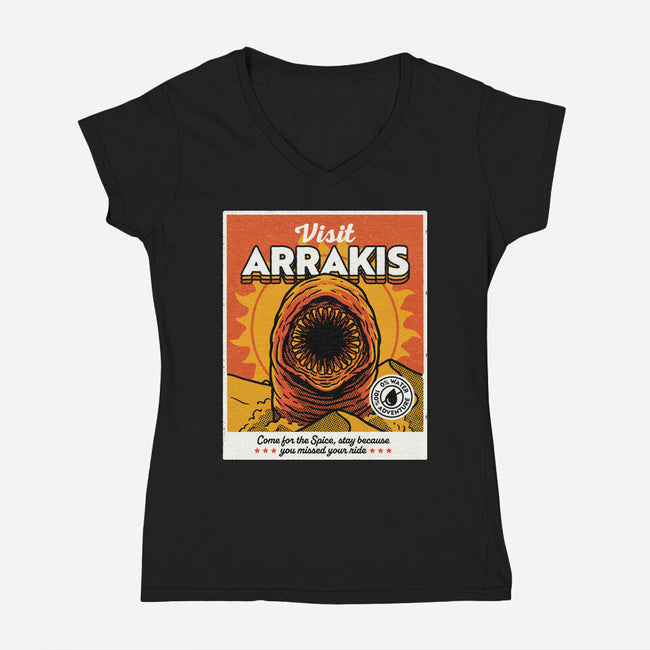 Come For The Spice-Womens-V-Neck-Tee-Popnotic