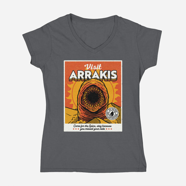Come For The Spice-Womens-V-Neck-Tee-Popnotic