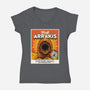 Come For The Spice-Womens-V-Neck-Tee-Popnotic