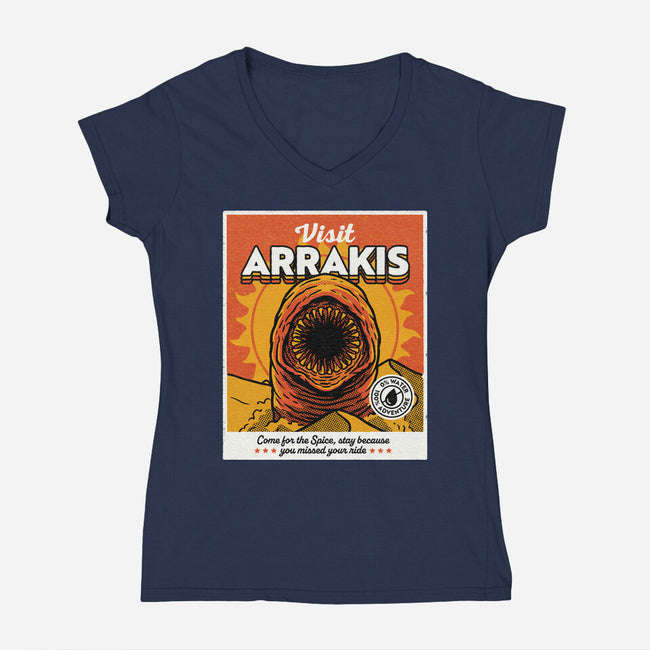 Come For The Spice-Womens-V-Neck-Tee-Popnotic