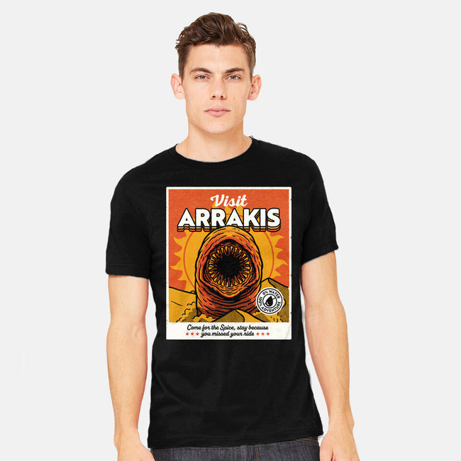 Come For The Spice-Mens-Heavyweight-Tee-Popnotic