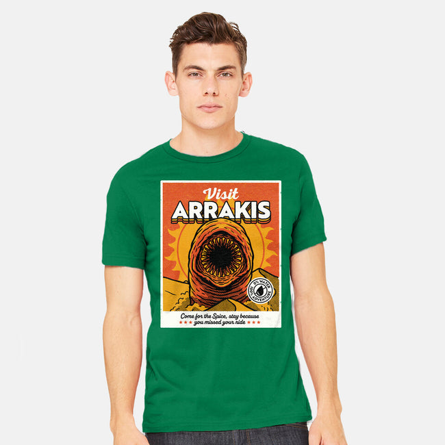 Come For The Spice-Mens-Heavyweight-Tee-Popnotic