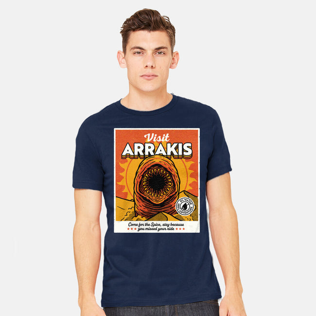 Come For The Spice-Mens-Heavyweight-Tee-Popnotic