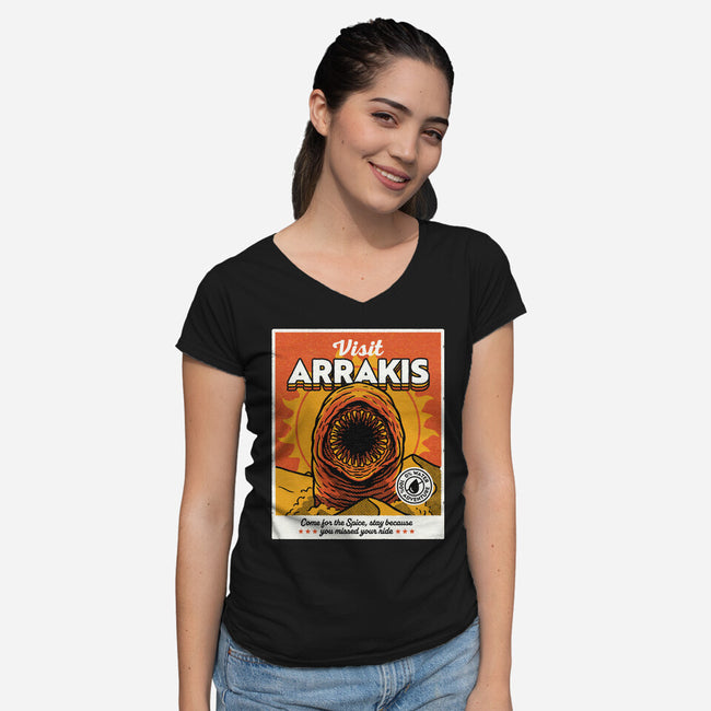 Come For The Spice-Womens-V-Neck-Tee-Popnotic
