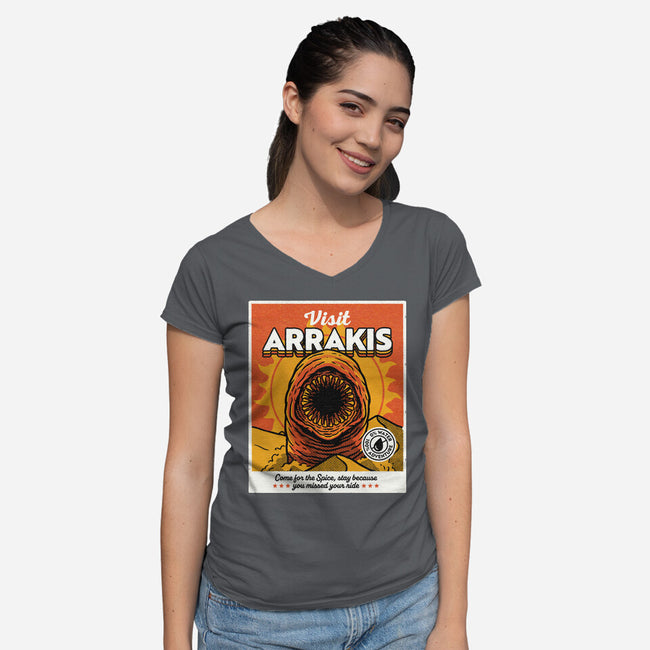 Come For The Spice-Womens-V-Neck-Tee-Popnotic