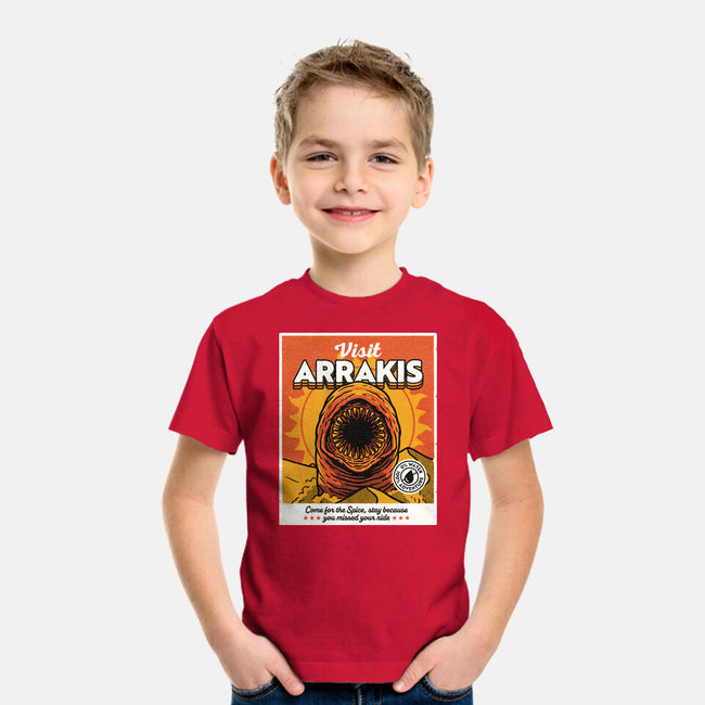 Come For The Spice-Youth-Basic-Tee-Popnotic