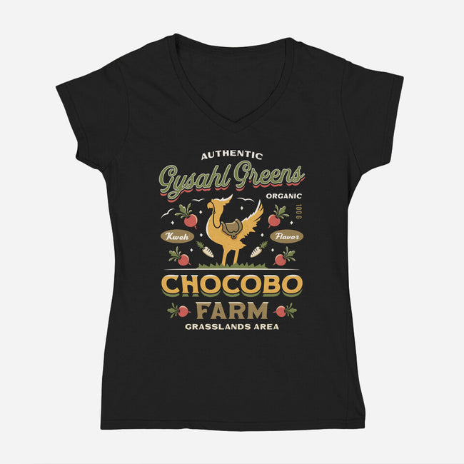 Gysahl Greens Emblem Vintage-Womens-V-Neck-Tee-LAGELANTEE