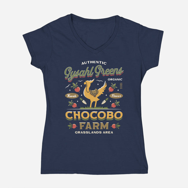 Gysahl Greens Emblem Vintage-Womens-V-Neck-Tee-LAGELANTEE