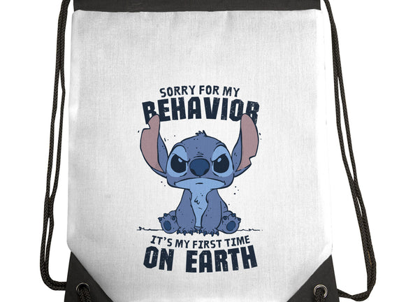 Sorry For My Behavior