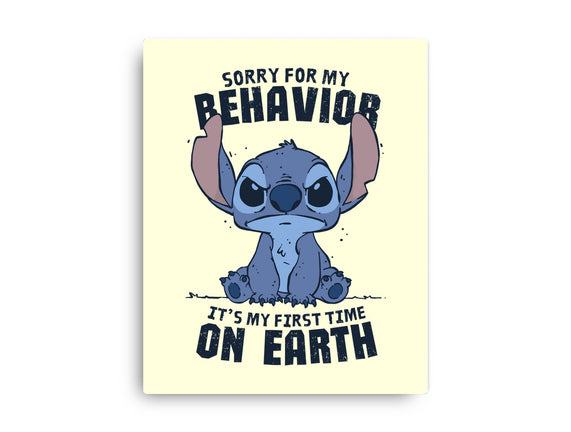 Sorry For My Behavior