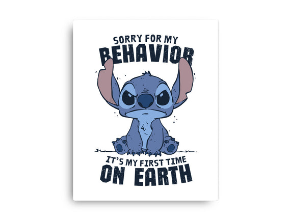 Sorry For My Behavior