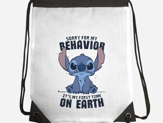 Sorry For My Behavior