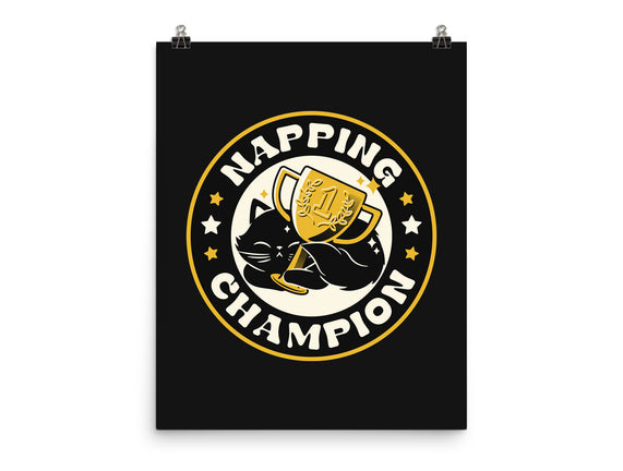 Napping Champion Cat