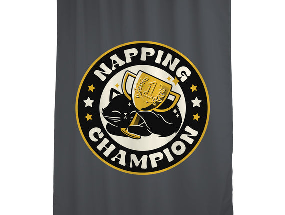 Napping Champion Cat