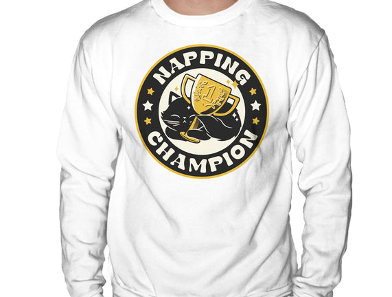 Napping Champion Cat