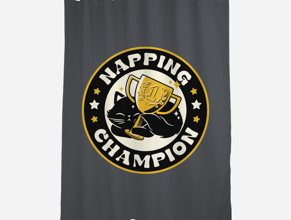 Napping Champion Cat
