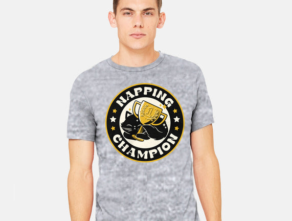 Napping Champion Cat