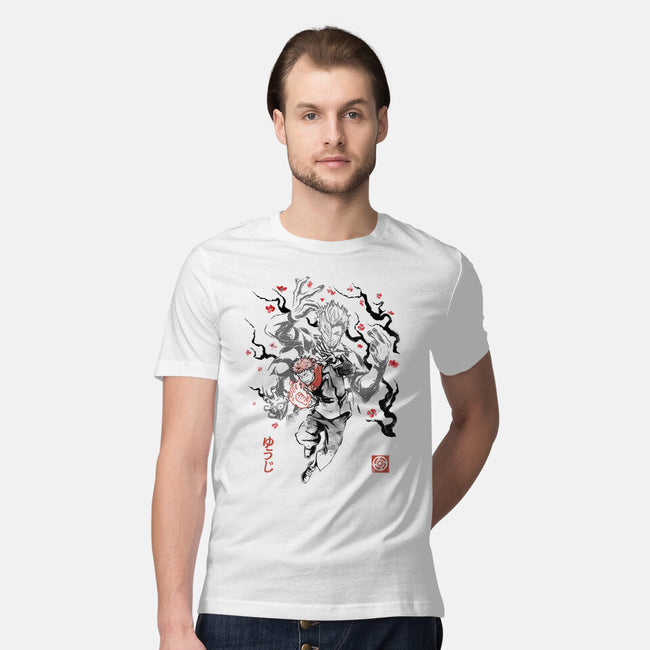 Vessel Of The Cursed King Sumi-e-Mens-Premium-Tee-Astrobot Invention