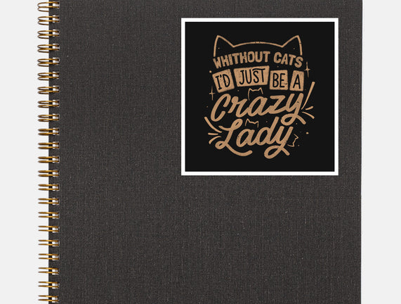 Crazy Lady Without Cats