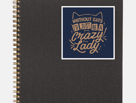 Crazy Lady Without Cats