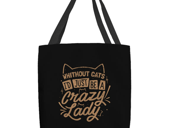 Crazy Lady Without Cats