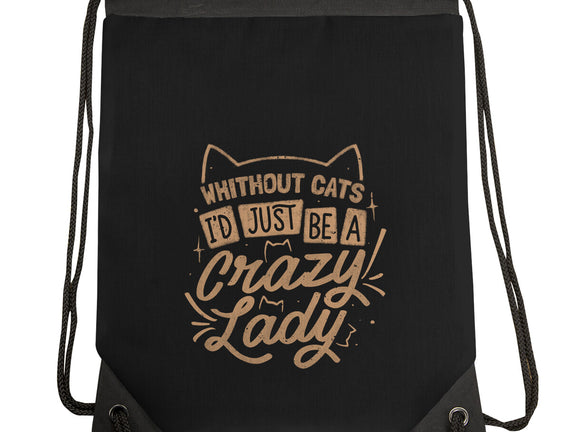 Crazy Lady Without Cats
