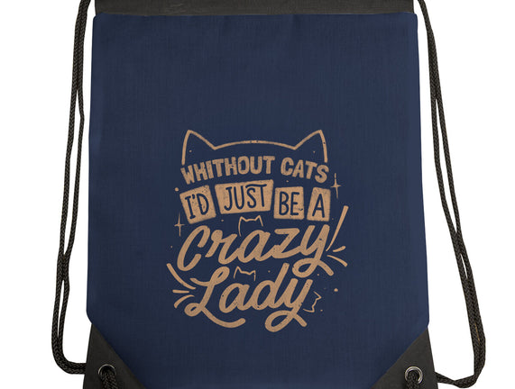 Crazy Lady Without Cats
