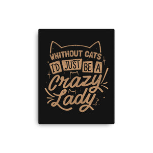 Crazy Lady Without Cats