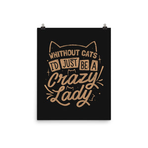 Crazy Lady Without Cats