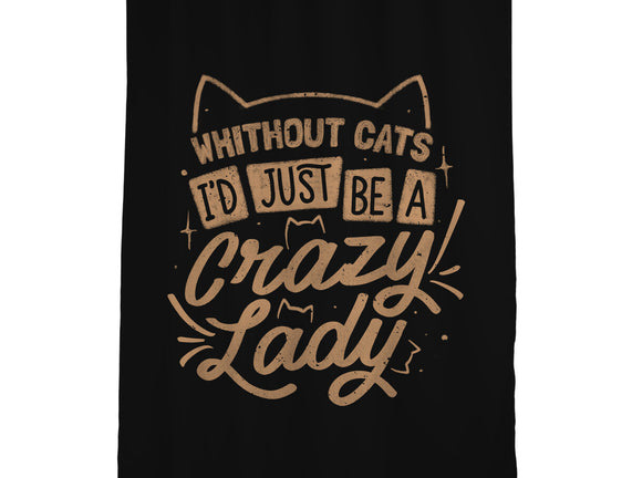 Crazy Lady Without Cats