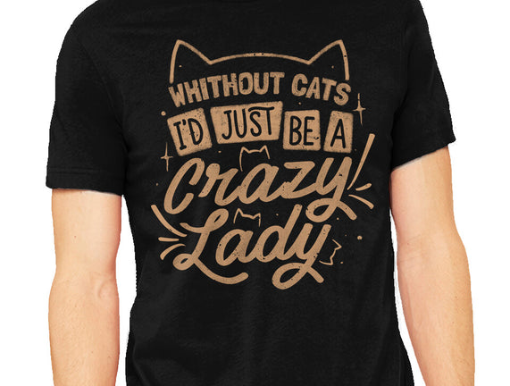 Crazy Lady Without Cats