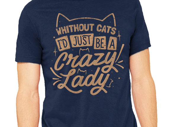 Crazy Lady Without Cats