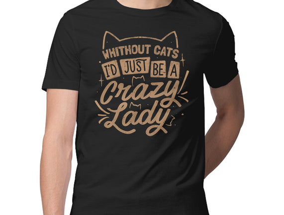 Crazy Lady Without Cats