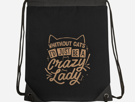 Crazy Lady Without Cats