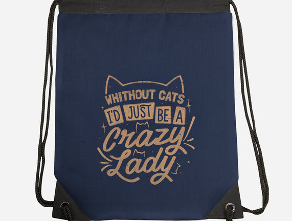 Crazy Lady Without Cats