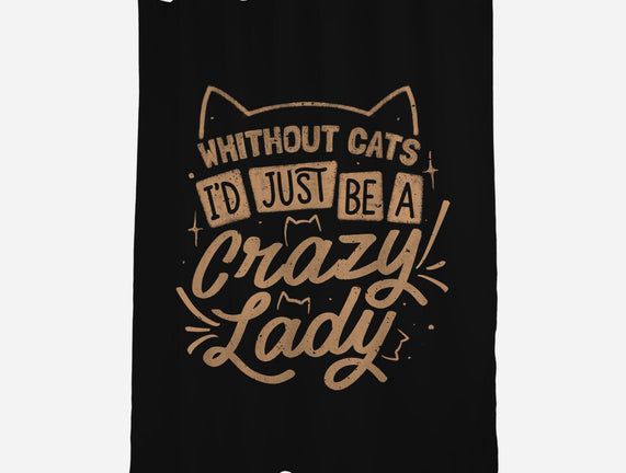 Crazy Lady Without Cats